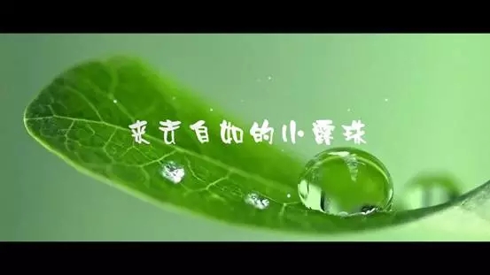 来去自如的小露珠——科学微电影系列展映